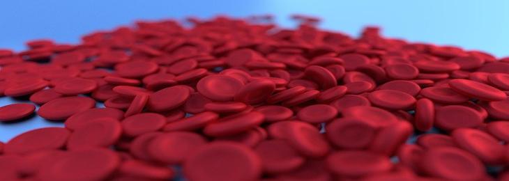 Researchers discovered that red blood cells serve an essential function in the immune system through the development of DNA-binding capabilities