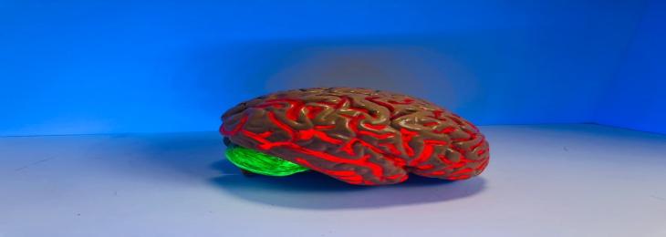 Now Wire Can Monitor Mental States
